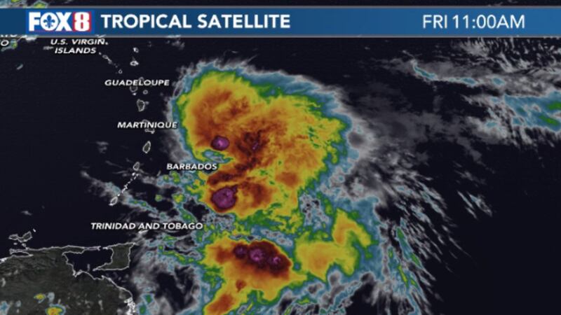 Hurricane Tammy
