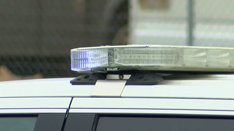 Police lights