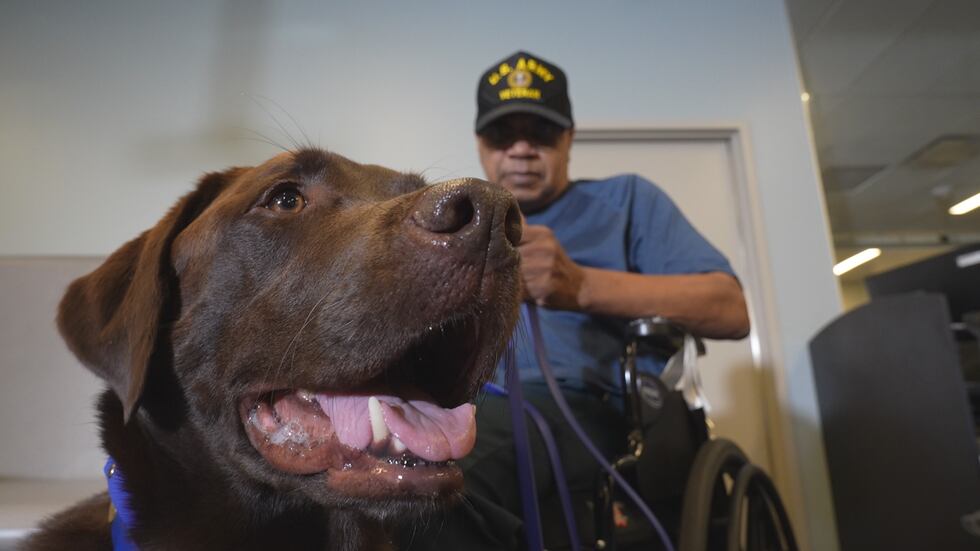Local Veterans First Facility dogs bring expertise joy to VA