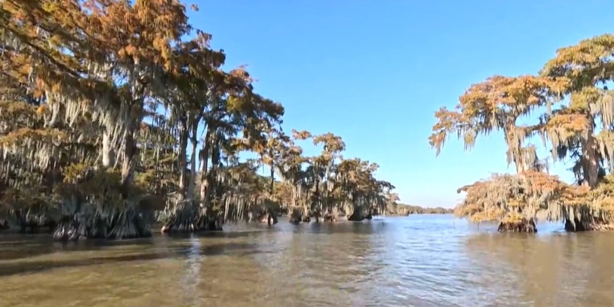 Heart of Louisiana: Fausse Park