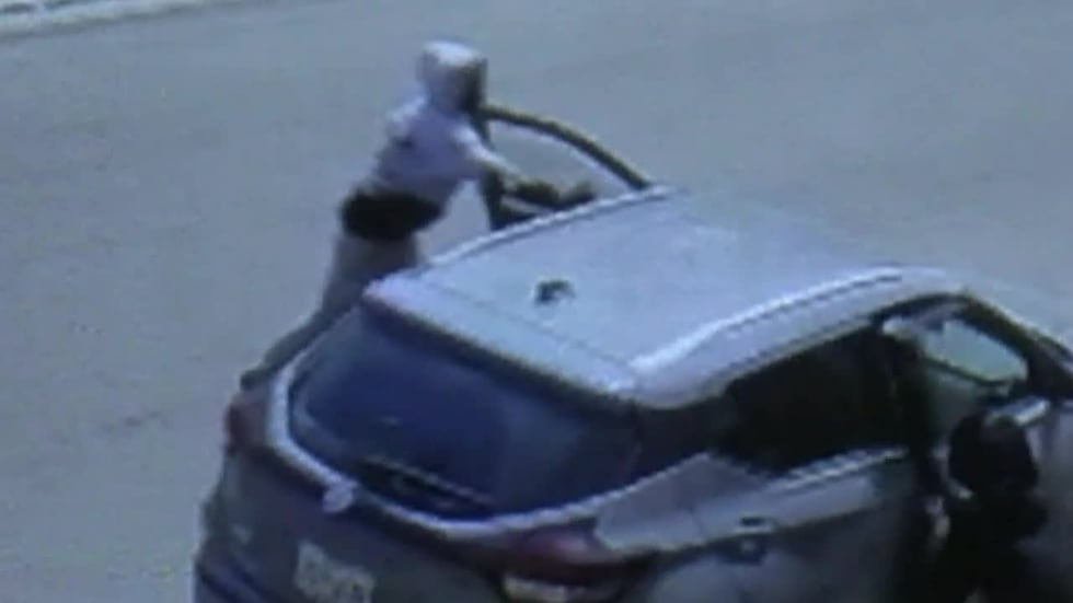 Surveillance video captured Linda Frickey's gruesome murder on camera.