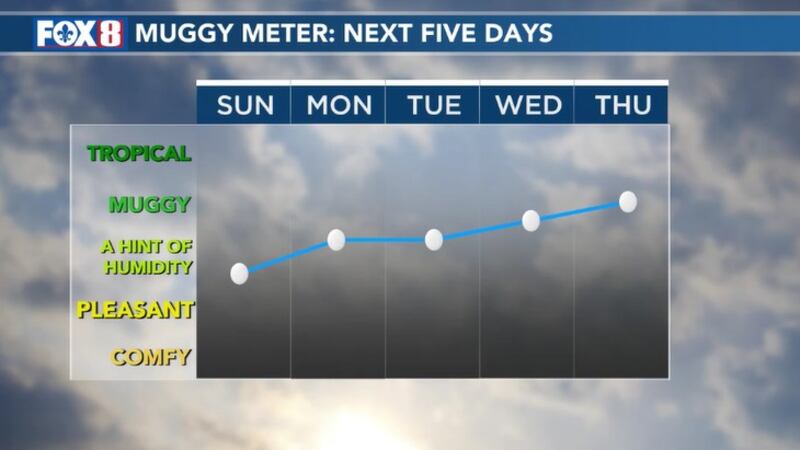 The humidity returns this week.