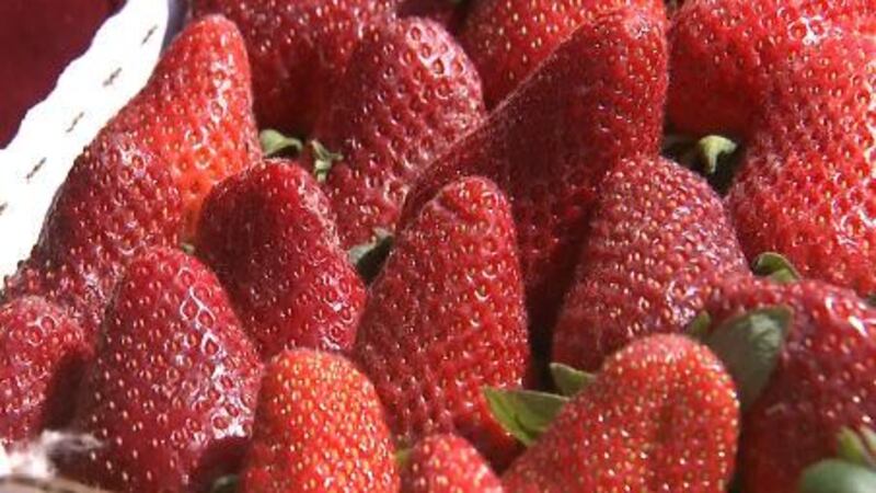 Louisiana Strawberries