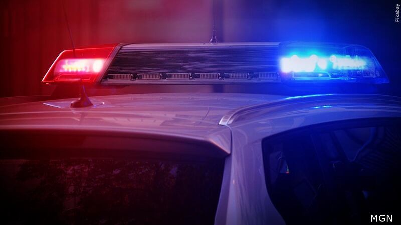 Police said a woman was arrested after a dead dog was found in a feces-ridden apartment.