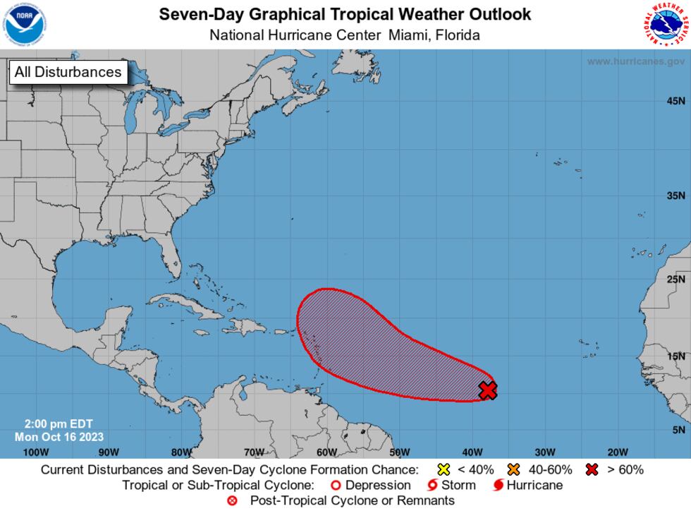Next 7 Days