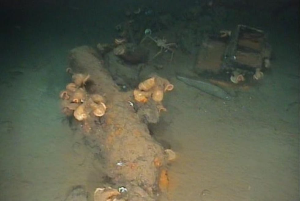 A cannon and other remains from the shipwreck (Photo from the University of West Florida)
