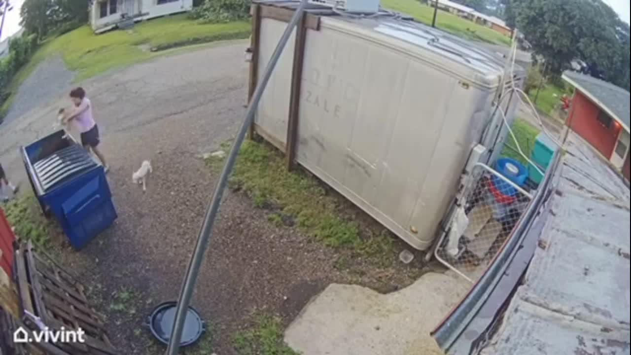 2 people throwing puppies into dumpster in south Louisiana caught on security footage - Vimarsana News
